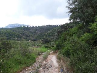 Finca rstica en Proc. simplificado. Finca rstica en dnia tradicin agrcola y oportunidad de inver