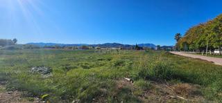 Wohngrundstück  Ronda oeste, 127, piles, spain 127. Terreno urbano en piles valencia, listo para edificar, a solo 45