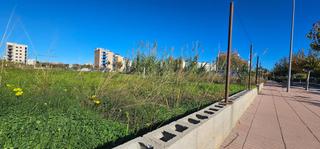 Wohngrundstück  Carrer muntanyar, 31, piles, spain 31. Terreno urbano comercial en piles valencia, ideal para gran proy