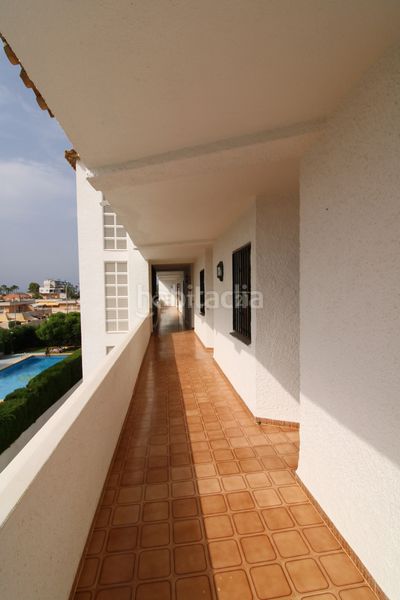 Foto b9f4f8a8-9f59-458c-9a8f-d7408d2c97a7. Studio dans Les Bassetes - El Marjal Dénia