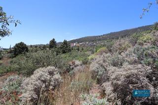Propriété à Monte de luna. T044  terreno para cultivo o uso turístico en villa de mazo