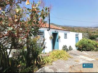 Masia a Los palitos. C137 inversión inteligente! casa terrera dividida en dos apartam