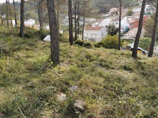 Terreny residencial a Canyelles. Oportunidad!