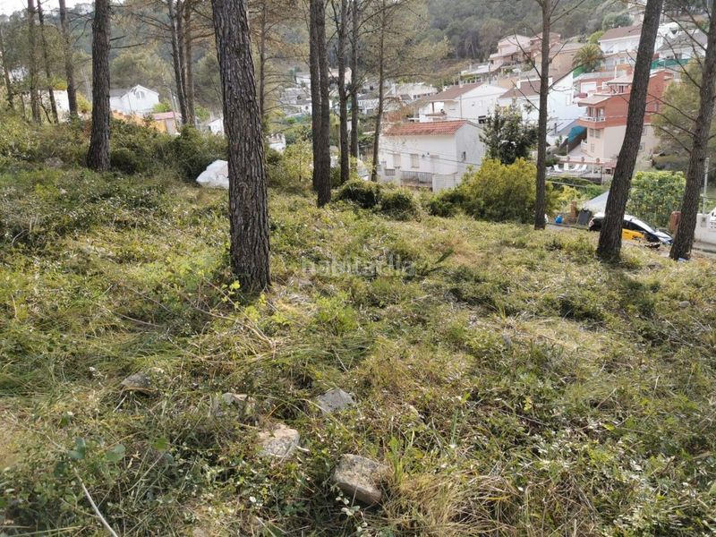 Foto c589683a-de9d-4c17-b1c9-144cf9327108. Terreny residencial a Canyelles