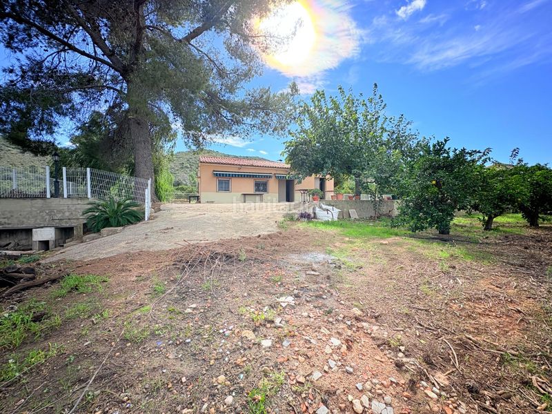 Foto d927c97c-a5ab-4bf2-b2d2-20b0e02e49b0. Casa a Canals