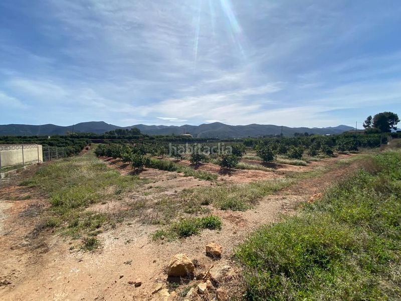 Foto 0f66956c-56b9-4f66-b158-2e20ba2ddc02. Terreny residencial a Canals