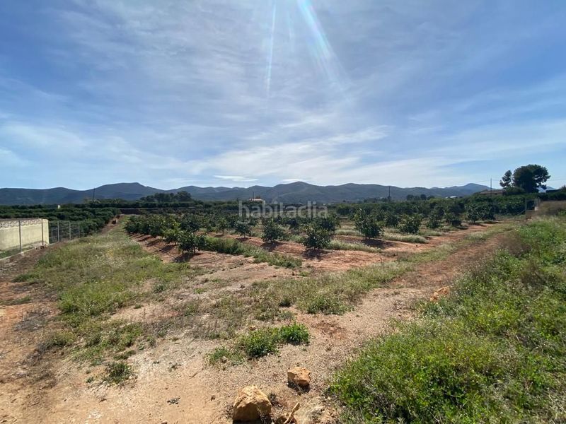 Foto 4db022b9-14a3-4324-a161-9b111cd7482c. Terreny residencial a Canals