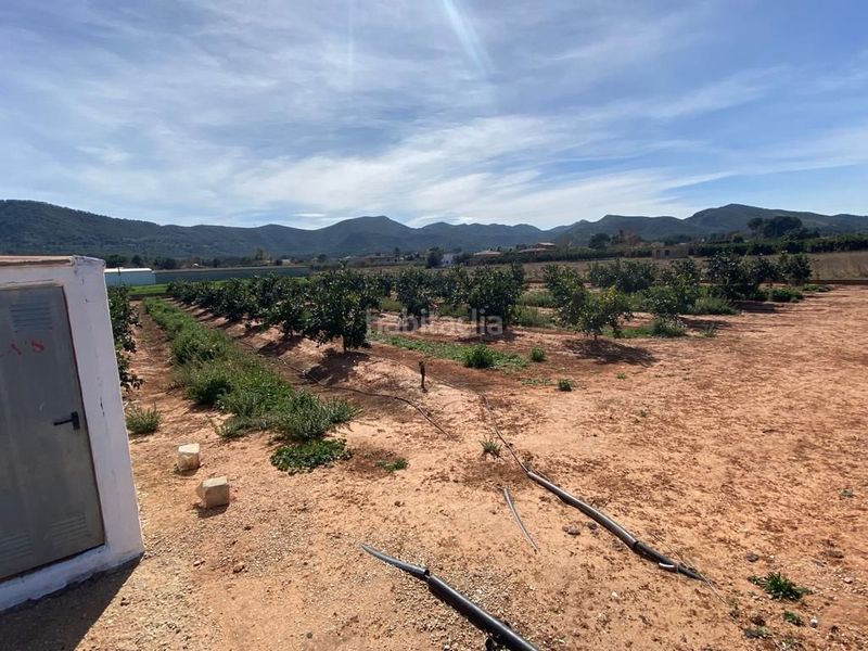 Foto 8652357d-c680-4780-843f-c54428d09363. Terreny residencial a Canals