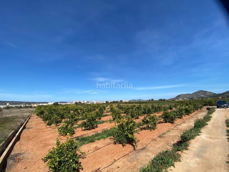 Foto 903a9d19-81c1-4e5c-8591-de8289a11d78. Terreny residencial a Canals