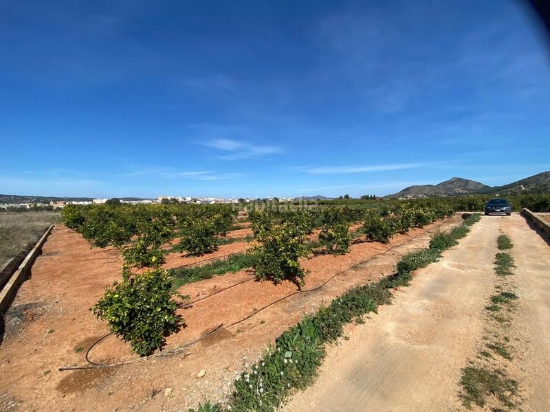 Foto b8c0a08c-d797-4f82-9e8a-e7210a40fca9. Terreny residencial a Canals