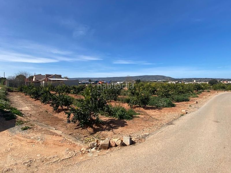 Foto ba39ddb2-cd9c-46a2-9e7c-e36b460c3973. Terreny residencial a Canals