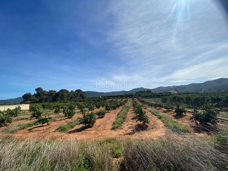 Foto e4a9fe71-9cb4-4e54-867d-0a36fdf16b46. Terreny residencial a Canals