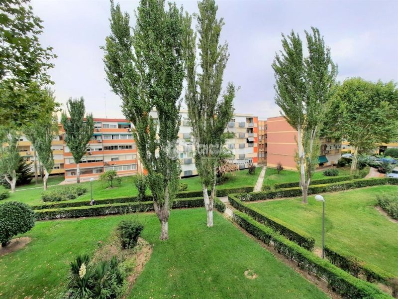 Foto b16368ef-1100-4269-af05-a2a70bbbc1b7. Pis a Rejas Madrid