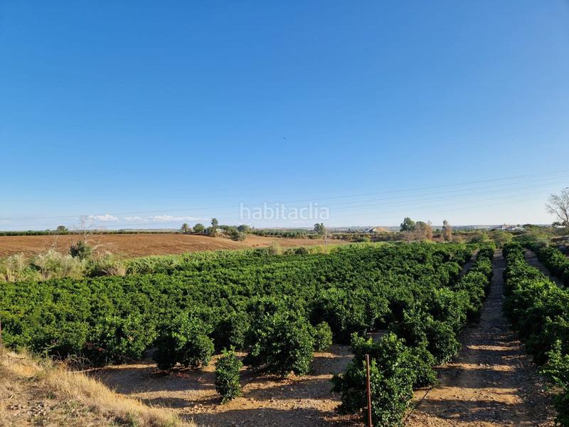 Foto 9cc6b9e7-c566-43fa-b717-22f966676431. Piso parcela de naranjas variedad barberinas, la parcela consta de 4500 metros cuadrados en buena zona, cercana al pueblo. la propiedad en Lora del Río