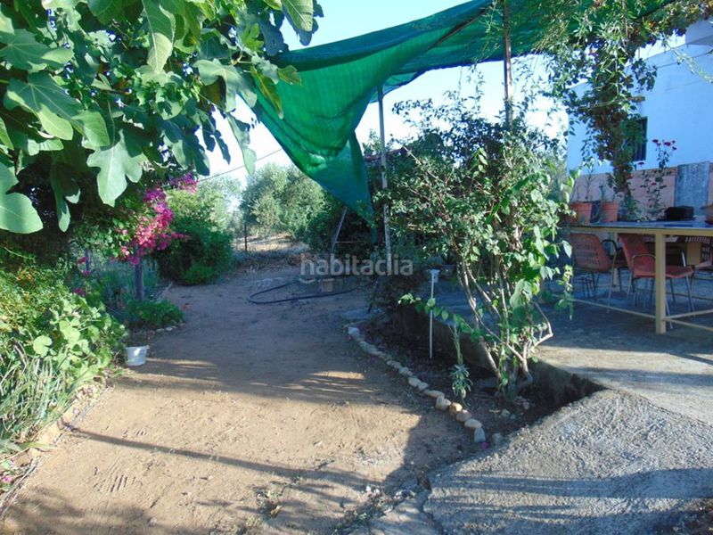 Foto 3c6d0ec7-f41e-4d8f-a31a-fbfe89f0a97d. Masía en Lora del Río