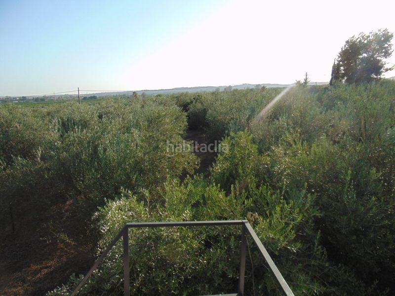Foto e2cead6c-a1c4-4f89-8a3f-3cc38924dc32. Masía en Lora del Río