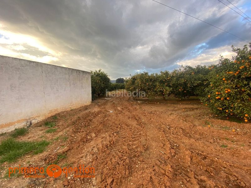Foto 587457a8-1e6d-4811-aa96-a88e66b87fe6. Terreny residencial a poligono 13 a Lora del Río