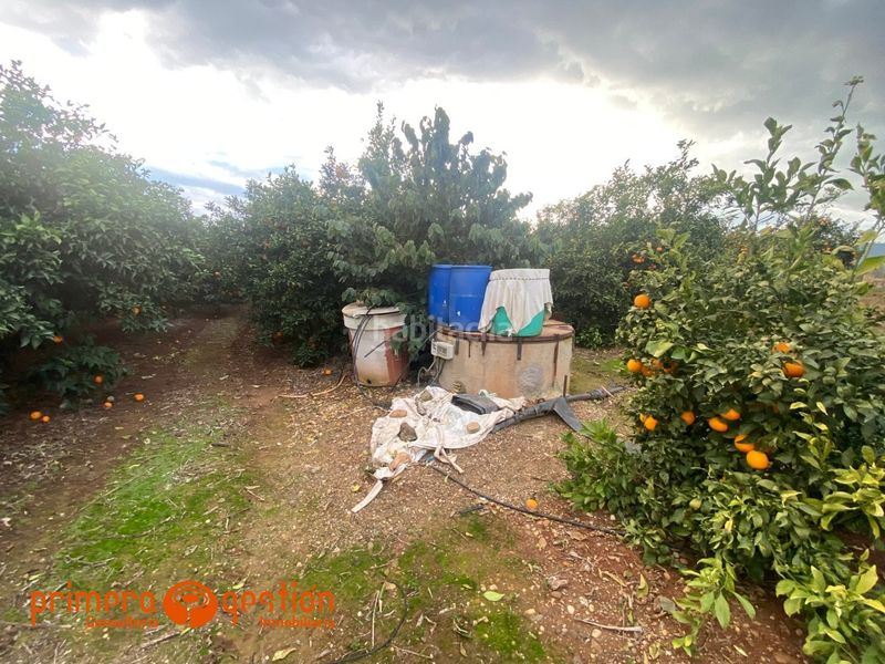 Foto a925f95c-7d34-4868-9bda-47b9006cb7a2. Terreny residencial a poligono 13 a Lora del Río