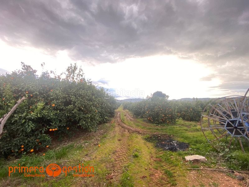 Foto e7ffe3d3-433d-49ed-866f-2c70b994c242. Terreny residencial a poligono 13 a Lora del Río