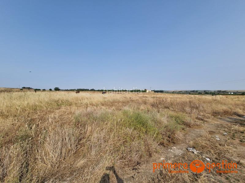 Foto b2b23afc-7501-482f-89c6-c70039f672ba. Residential plot in Lora del Río