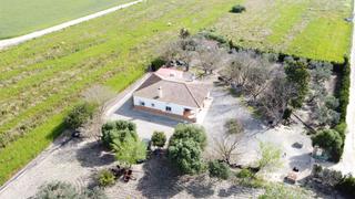 Mas à Lebrija. Parcela zona los rasillos