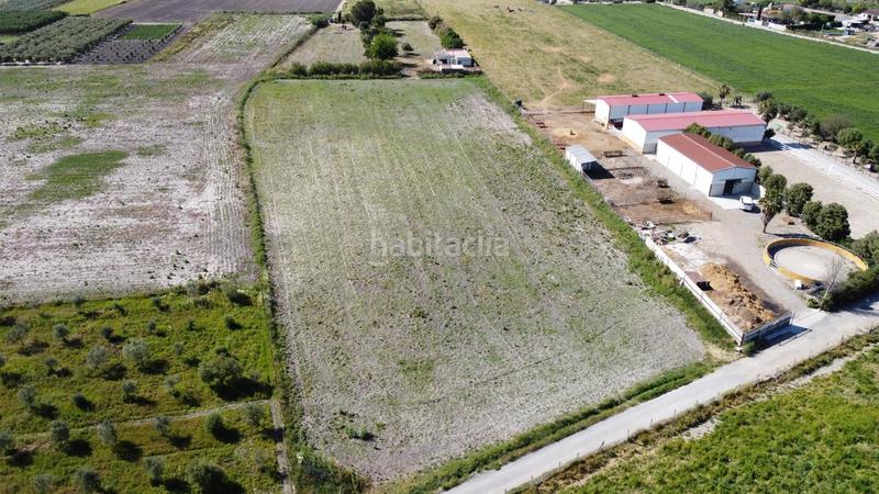 Foto 2c631af4-66dc-42f8-82f2-fdce2e9e94b0. Terreno residencial parcela pago las arenas en Lebrija