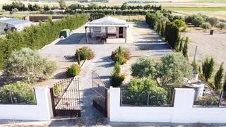Terrain rsidentiel en Lebrija. Parcela zona los naranjos