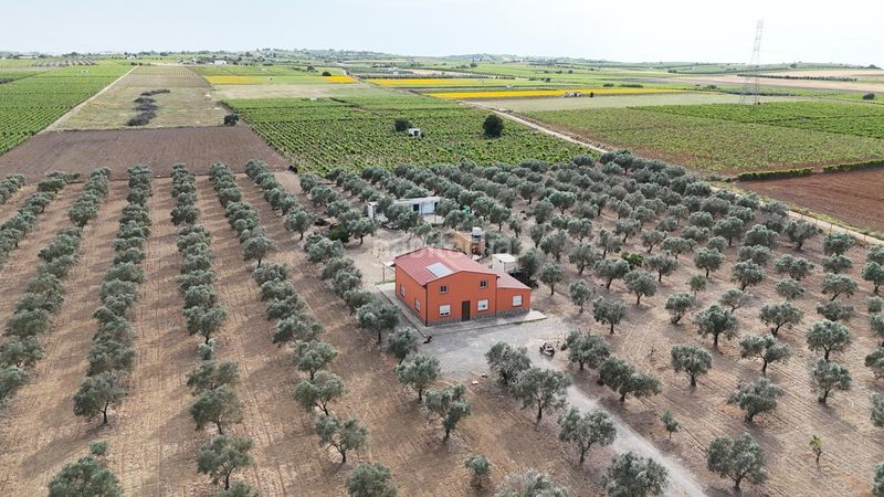 Foto 2eb942a4-c7e5-4aad-a0f8-e738bf8acd8d. Masia a Lebrija