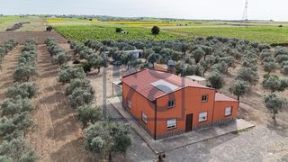 Masia a Lebrija. Finca rustica zona la reyerta