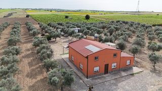 Casale in Lebrija. Finca rustica zona la reyerta
