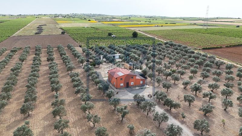 Foto cf01076e-9111-41e9-8480-0143a3bb96f6. Masia a Lebrija