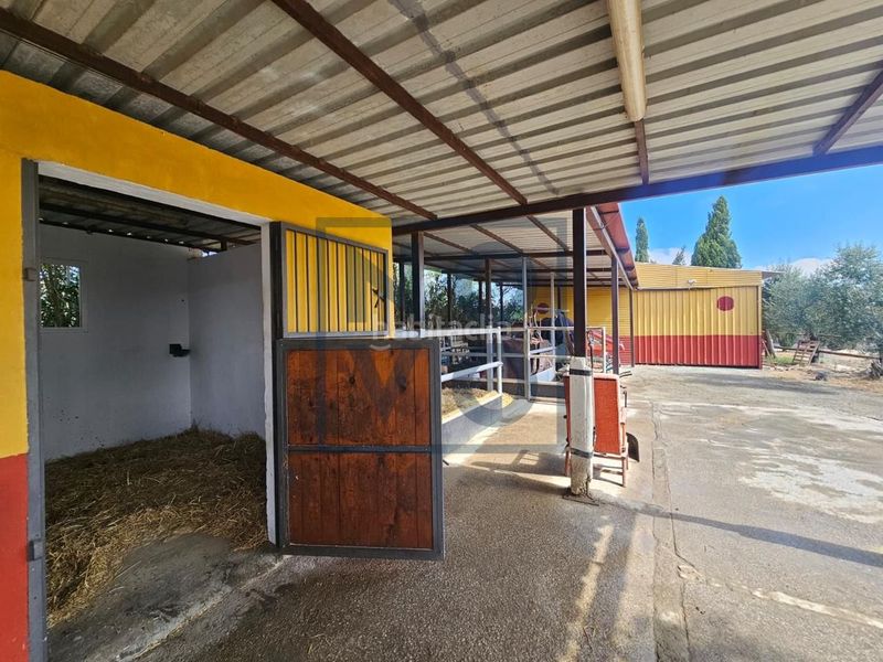 Foto 03ce46cb-1711-4a9e-98b5-198f03b07892. Casa a Lebrija