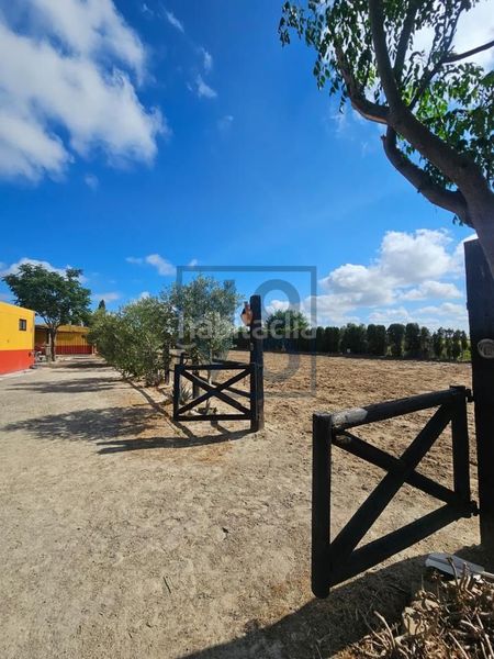 Foto e6f94579-3fb7-4907-9136-bcd90bbdc908. Casa a Lebrija