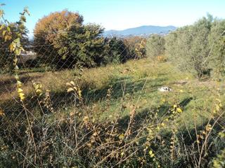 Terrain résidentiel à Santa Eulàlia de Ronçana. Finca rústica