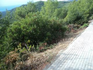 Terreny residencial a Bigues i Riells. Parcela única