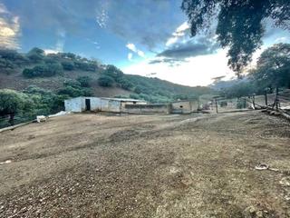 Finca rústica a Real de la Jara (El). Terreno rústico de 709.800 m2 en real de la jara.