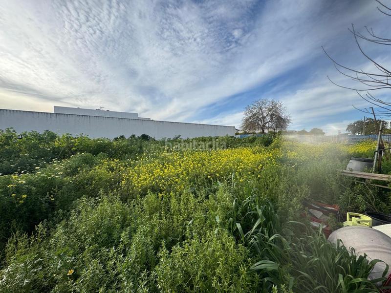 Foto 06df3e82-1ec4-4eff-b2fa-21f527b905dc. Terreno residenziale in Casco Antiguo Mairena del Aljarafe