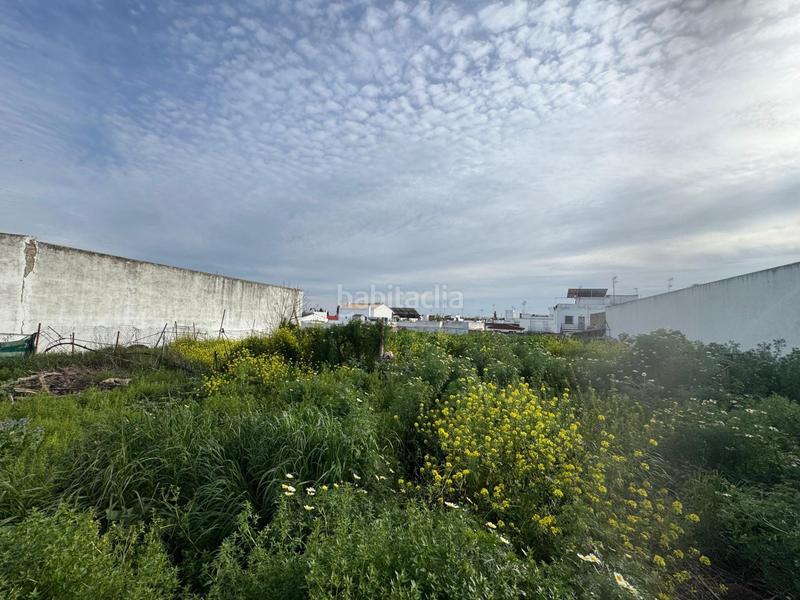 Foto 1f14acc3-46e4-48d8-a13e-606c3101c592. Terreno residenziale in Casco Antiguo Mairena del Aljarafe