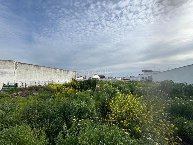 Foto 2d999f0d-a0a3-4169-955c-ee3a9bc92654. Terreno residenziale in Casco Antiguo Mairena del Aljarafe