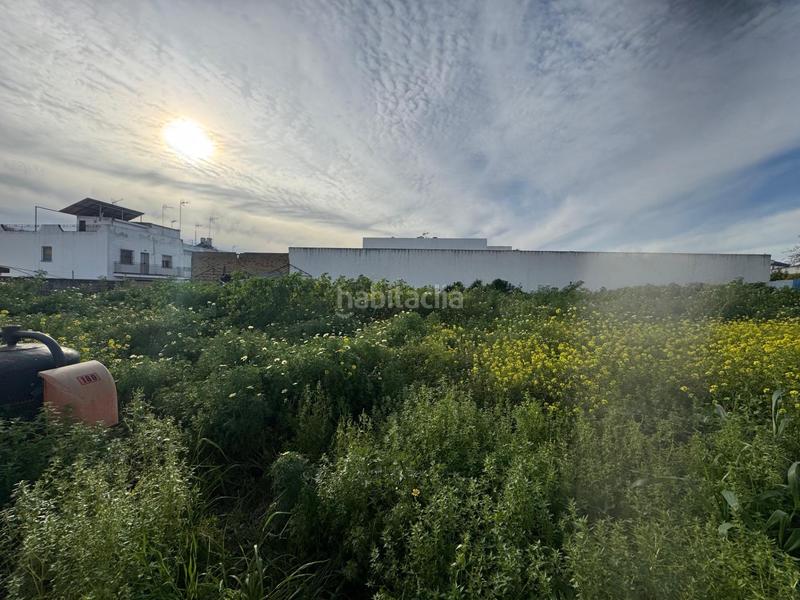 Foto 66feb705-0c89-484d-97ba-51560c0607ce. Terreno residenziale in Casco Antiguo Mairena del Aljarafe