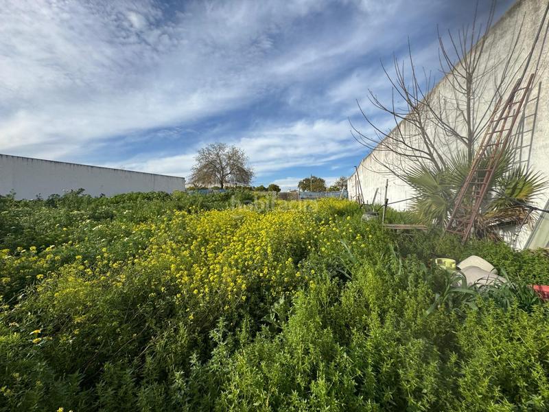 Foto 7c2468c6-44bc-4035-a47e-cb9c27c25e00. Terreno residenziale in Casco Antiguo Mairena del Aljarafe