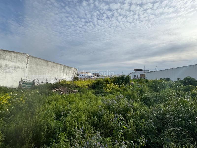 Foto 7e884655-622f-4dc2-910b-8bc48c5fca3a. Terreno residenziale in Casco Antiguo Mairena del Aljarafe