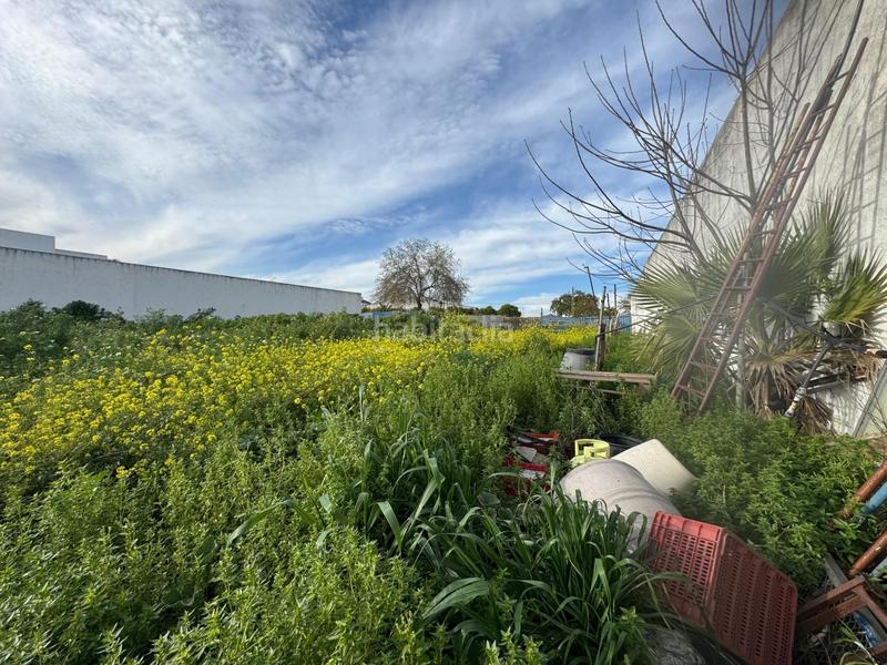 Foto 884fa5ea-6516-4e10-a3ff-3b25fa700f3b. Terreno residenziale in Casco Antiguo Mairena del Aljarafe