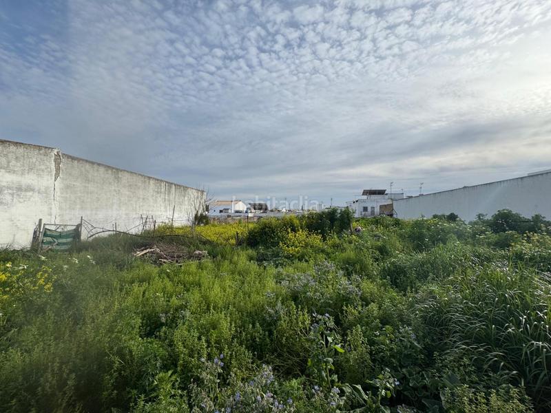 Foto 94ef83b8-ea1b-4c0c-aae3-6abbab0cb321. Terreno residenziale in Casco Antiguo Mairena del Aljarafe