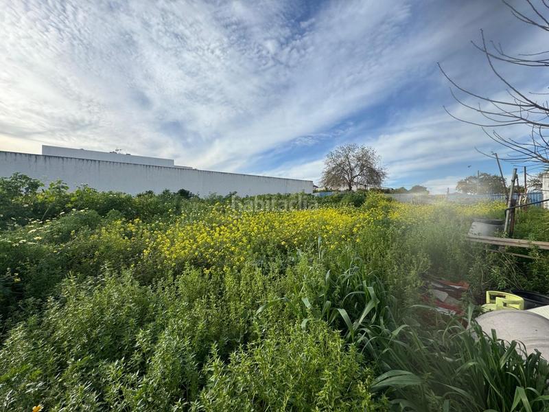 Foto ade6d1fd-40d6-48d8-a814-111dded16297. Terreno residenziale in Casco Antiguo Mairena del Aljarafe