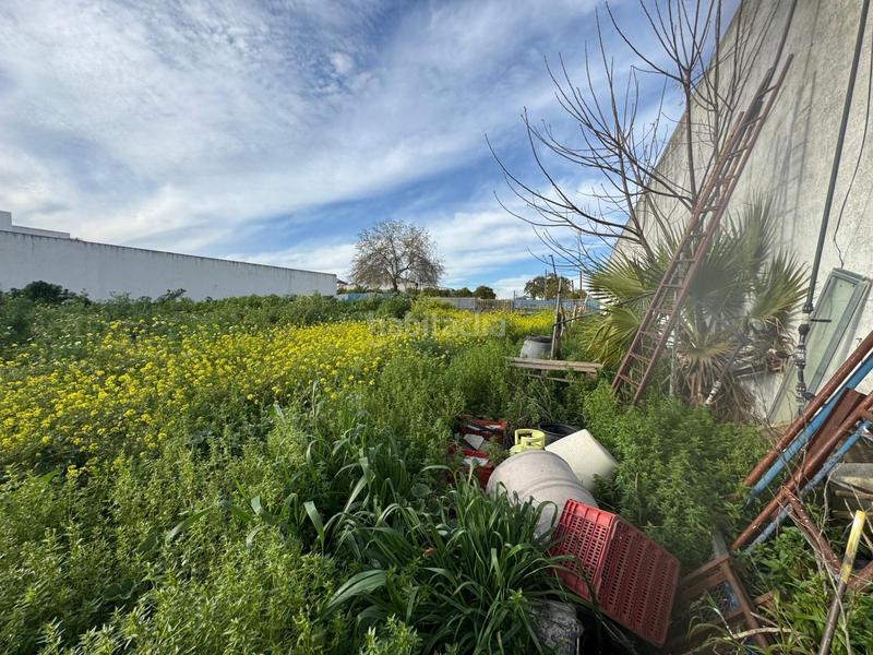 Foto cb624dcc-9903-4820-99fb-9d2913ddbea5. Terreno residenziale in Casco Antiguo Mairena del Aljarafe