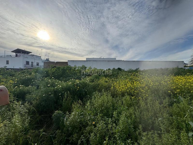 Foto d3a1a97d-1d43-44ed-a50b-ebe93c60507f. Terreno residenziale in Casco Antiguo Mairena del Aljarafe