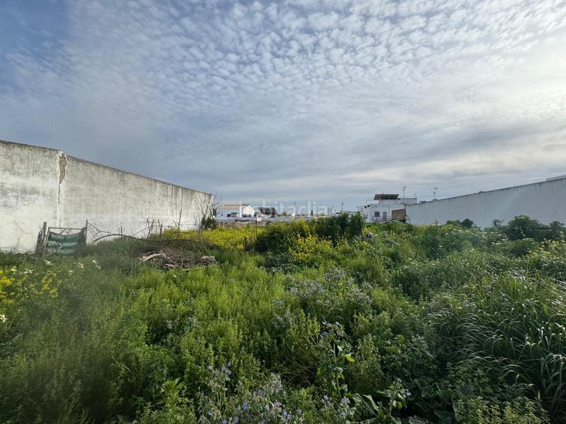 Foto f1e54d18-534e-486e-ad44-2de7327a3fa1. Terreno residenziale in Casco Antiguo Mairena del Aljarafe