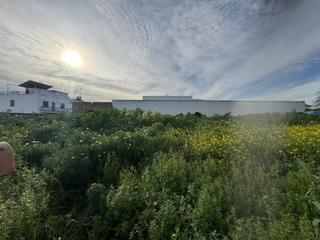 Terreno residenziale en Casco Antiguo. Gran terreno urbano mairena del aljarafe casco antiguo