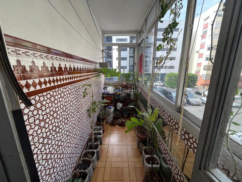 Foto f3d55083-4e43-438d-9ea6-31d6b4ae4edc. Flat in colores - entreparques Sevilla